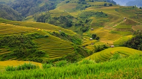 乡村龙脊梯田风光摄影图片